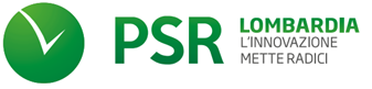 Logo PSR